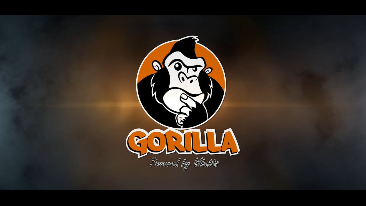 Reel Gorilla 2024